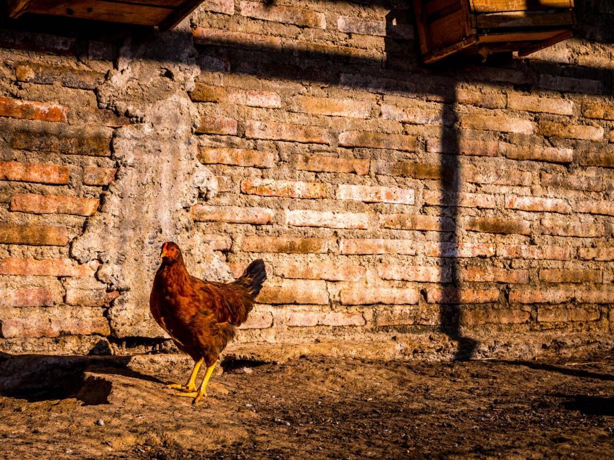 Converted Farm Loft Casablanca Esterno foto